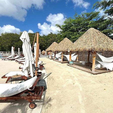 La Ruche De Maia - Blue Dream Beach - Piscine - Jardin - Plage Grand-Bourg  Dış mekan fotoğraf
