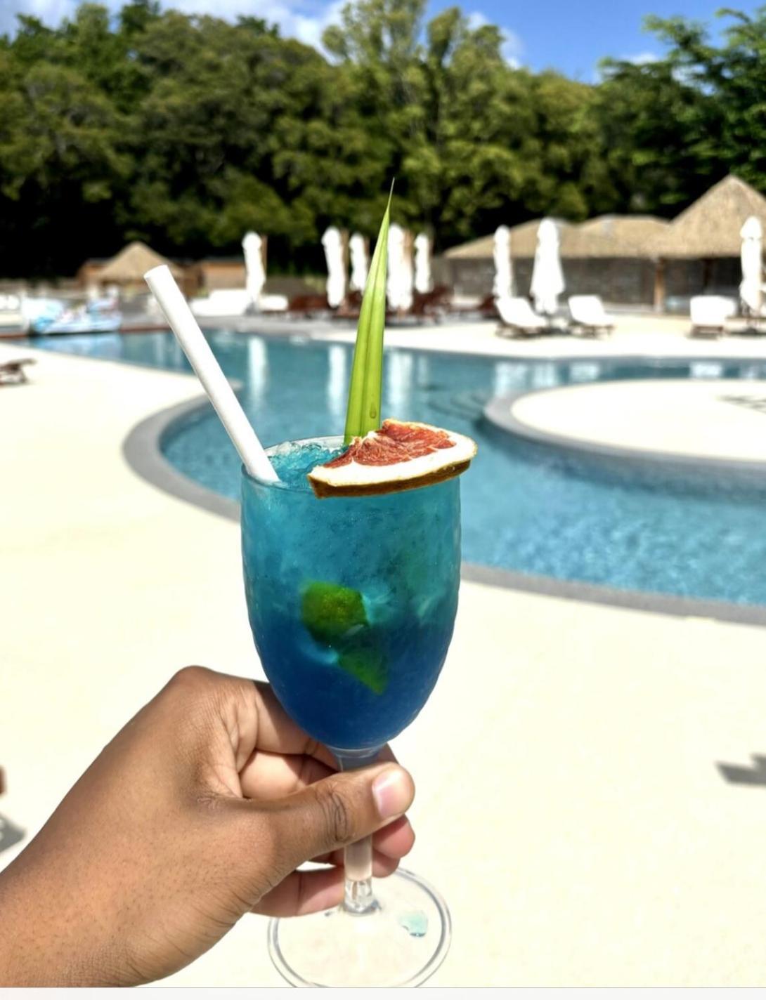 La Ruche De Maia - Blue Dream Beach - Piscine - Jardin - Plage Grand-Bourg  Dış mekan fotoğraf